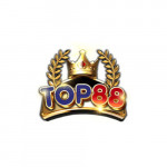 top88nnet