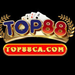 top88zzzcom