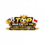 topnhacaiuytin88org