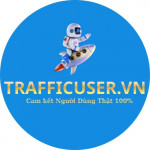 trafficuservn