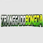 trangcadobongdadev