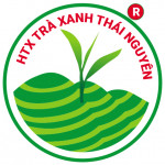trathainguyen