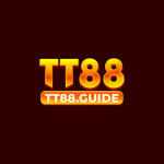 tt88guide