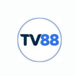 tv88makeup