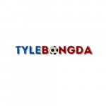 tylebongdainnet1