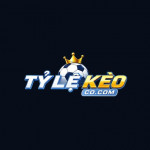 tylebongdakeonhacaicom