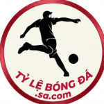 tylebongdasacom