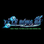 tylebongdatlk