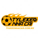 tylekeonhacai5commx