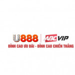 u888foundation
