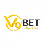 v9bet1dev