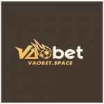 vaobetspace