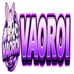 vaoroitvwork
