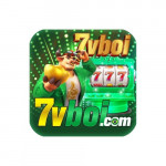vboiorg7