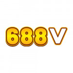 vdesign688