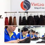 vietlinkhair