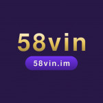 vinvietnam