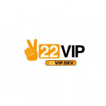 vipdev22