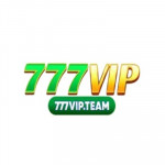 vipteam