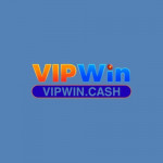 vipwincash