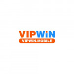 vipwinmobile