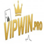 vipwinpro1