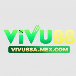 vivu88amexcom