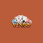 vn68aorg