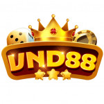 vnd888
