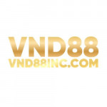vnd88inccom