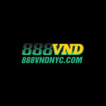 vndnyccom