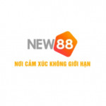 vnew88gg