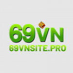 vnsitepro