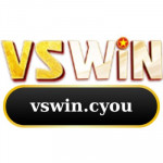 vswincyou