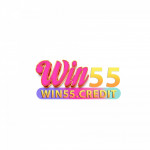 win55accountant1