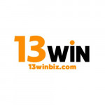 winbizcom