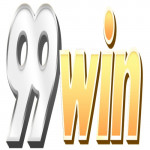 wincasinonet99