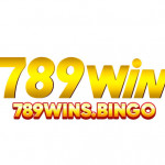 winsbingo789