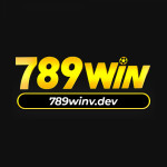 winvdev789