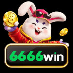 winvipcom6666