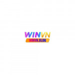 winvnblog