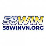 winvnorg