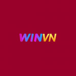 winvnycom