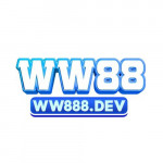 ww888dev