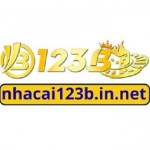 wwwnhacai123binnet