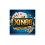 xin88boovn
