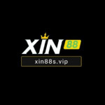 xin88svipp
