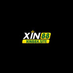 xin88xsite