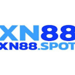 xn88spot
