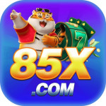 xnetbr85